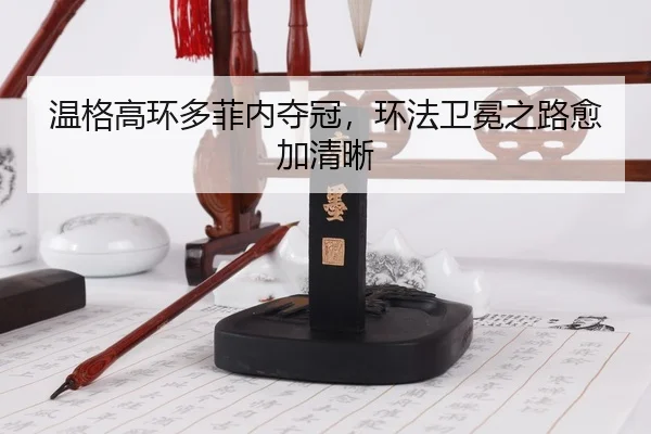 wen-ge-gao-huan-duo-fei-nei-duo-guan-huan-fa-wei-mian-zhi-lu-yu-jia-qing-xi-2-260.jpg